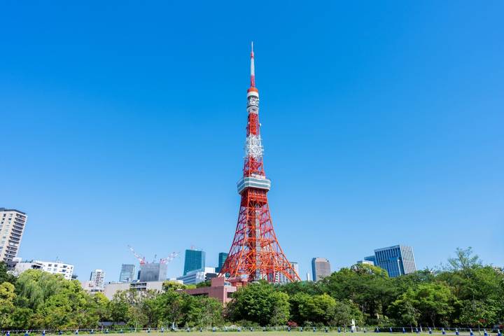 7 Day Japan on a Budget Small Group Tour Package by Tourist Journey Review - Four Tokyo nights, with a full day to find your own rhythm
