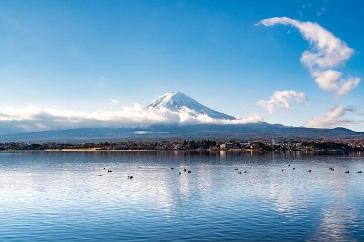7 Day Japan on a Budget Small Group Tour Package by Tourist Journey Review - The Shinkansen to Kyoto, then a walk through Gion