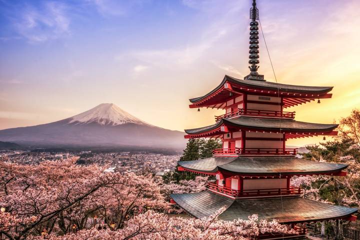 7 Days Customized Tokyo and Kansai Classic Tour (private guide & driver) by UME Travel - A fast introduction to Tokyo, Fuji and Kansai