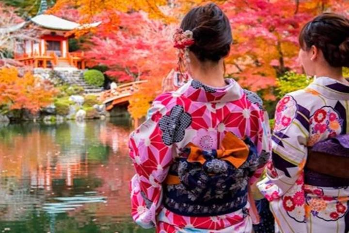 7 Days Highlights of Japan by Tomato Travel - Tokyo to Osaka Tour Review - At a glance: the route and what is included