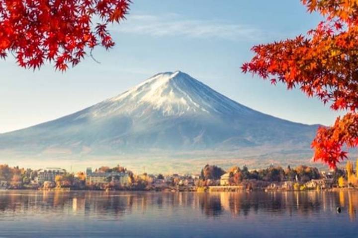 7 Days Highlights of Japan by Tomato Travel - Tokyo to Osaka Tour Review - A week that connects Japan’s big contrasts