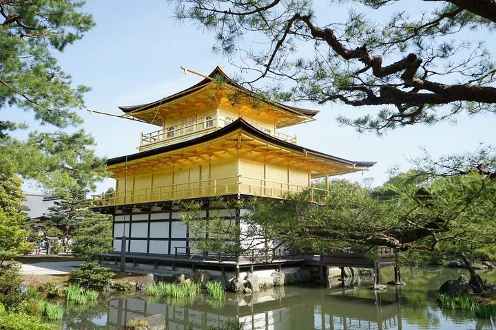 7 Days Highlights of Japan by Tomato Travel - Tokyo to Osaka Tour Review - Day 2: Tokyo from Odaiba to Asakusa