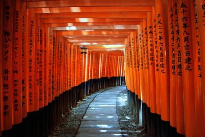 7 Days Highlights of Japan by Tomato Travel