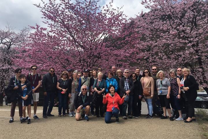 7 Days Highlights of Japan by Tomato Travel - Tokyo to Osaka Tour Review - Day 3: Mount Fuji views, then on to Hamamatsu