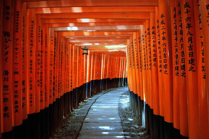 7 Days Highlights of Japan by Tomato Travel - Tokyo to Osaka Tour Review - Day 1: arrive near Narita and settle in