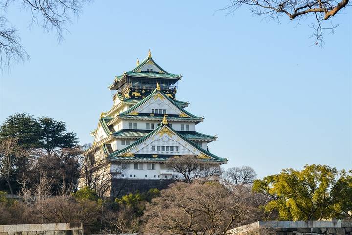 7 Days Japan's Cultural & Thrilling Family Adventures by UME Travel Review - Day 3: Shrine forest, Harajuku style and Akihabara play
