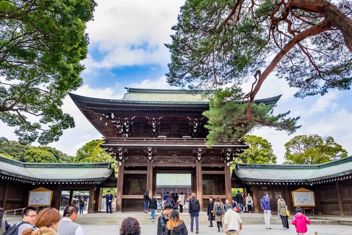 8 Day Highlights of Japan Small Group Tour Package by Tourist Journey Review - The useful details at a glance