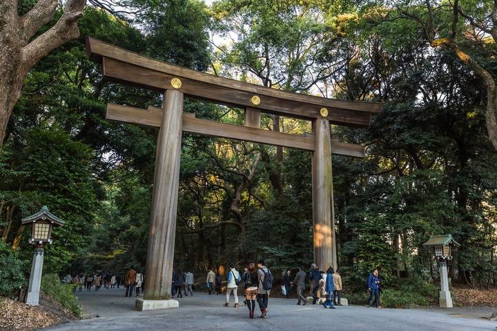 8 Day Highlights of Japan Small Group Tour Package by Tourist Journey Review - A fast route through Japan’s headline sights