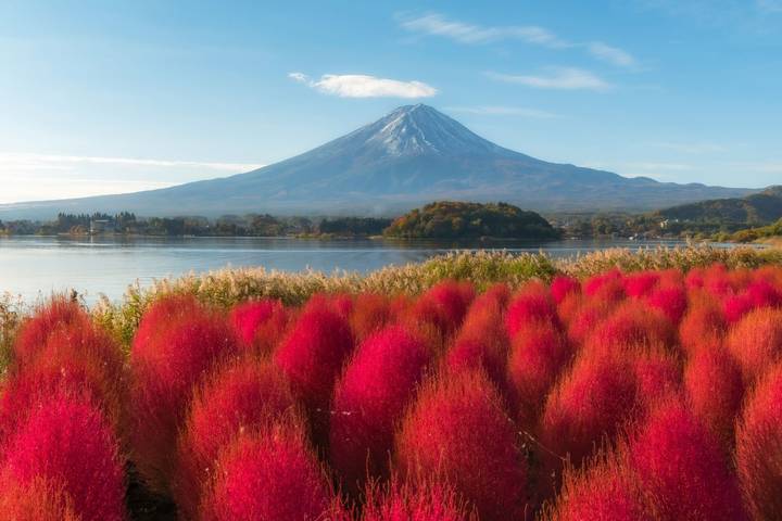 8 Day Highlights of Japan Small Group Tour Package by Tourist Journey Review - Tsukiji: a market walk that comes with lunch-sized tastings