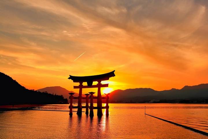 8 Day Japan Adventure (Private Guide and Driver) - Umetravel Review - Tokyo: a cruise, a giant robot and science