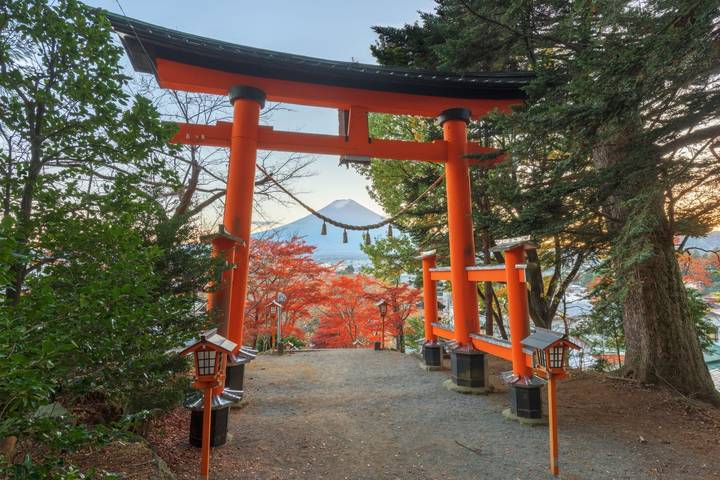 8 Day Japan on a Budget Small Group Tour Package by Tourist Journey Review - At a glance