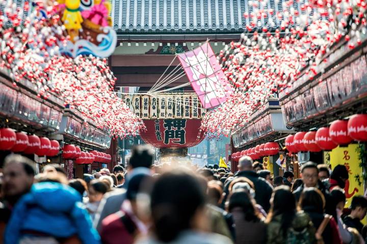 8 Day Japan on a Budget Small Group Tour Package by Tourist Journey Review - A highlights trip, not a conventional group circuit