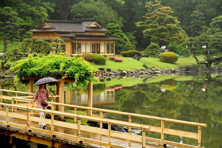 8 Day Japan on a Budget Small Group Tour Package by Tourist Journey Review - Day 2: From the Imperial Palace to Shibuya Crossing
