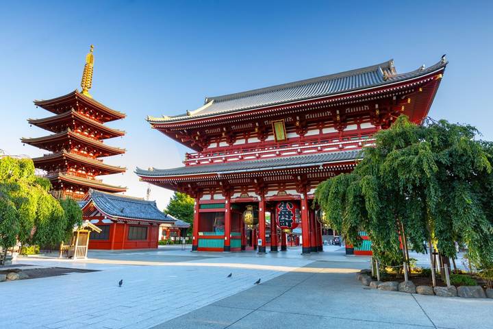 8 Day Japan on a Budget Small Group Tour Package by Tourist Journey Review - Day 7: Choose your own Kyoto