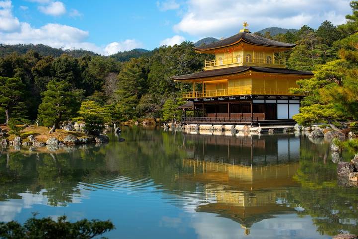 8 Day Japan on a Budget Small Group Tour Package by Tourist Journey Review - Day 1: Arrive in Tokyo and get settled