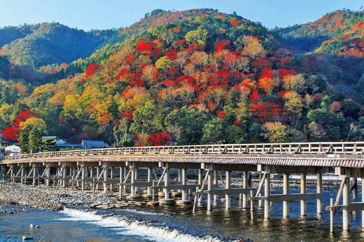 8 Day Splendid Japan (Private Guide and Driver) - Umetravel Review - Should you book the 8 Day Splendid Japan tour?