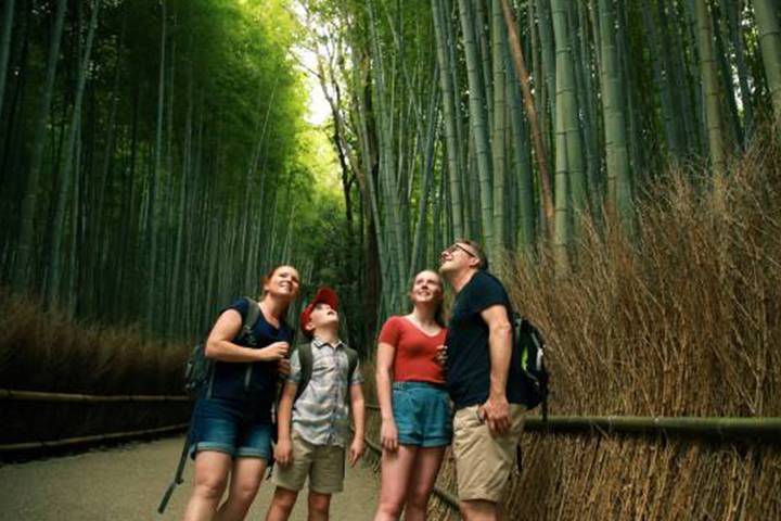 8 Day Splendid Japan (Private Guide and Driver) - Umetravel Review - Who will get the most from this Japan itinerary