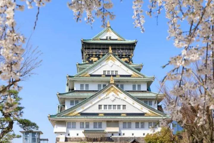 8 Days Best Of Japan Family Small Group by UME Travel Review - Hotels, meals and what the price buys