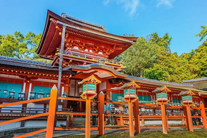8 Days Best Of Japan Family Small Group by UME Travel Review - Guide service and pace: the details to confirm