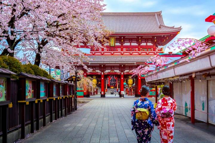 9 Day Best of Japan Cherry Blossom Tour 2027 by UME Travel Review - A spring route from Tokyo to Osaka