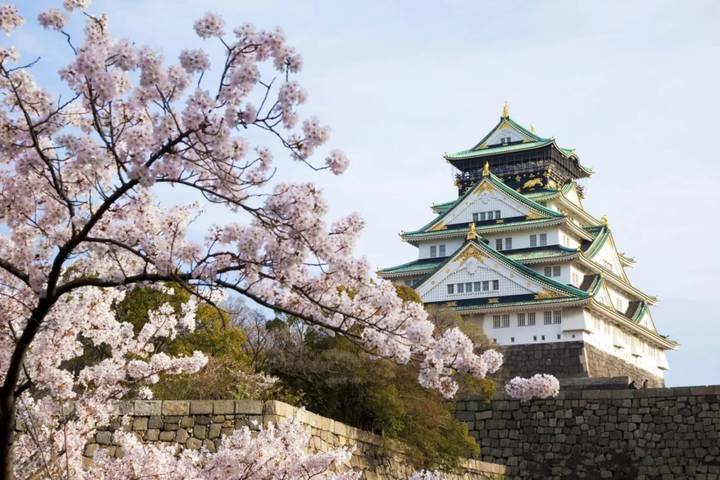 9 Day Best of Japan Cherry Blossom Tour 2027 by UME Travel Review - Guide quality and the small-group experience