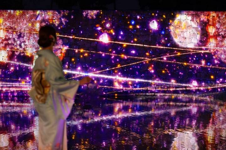 9 Day Best of Japan Cherry Blossom Tour 2027 by UME Travel Review - The Shinkansen and an open afternoon in Kyoto