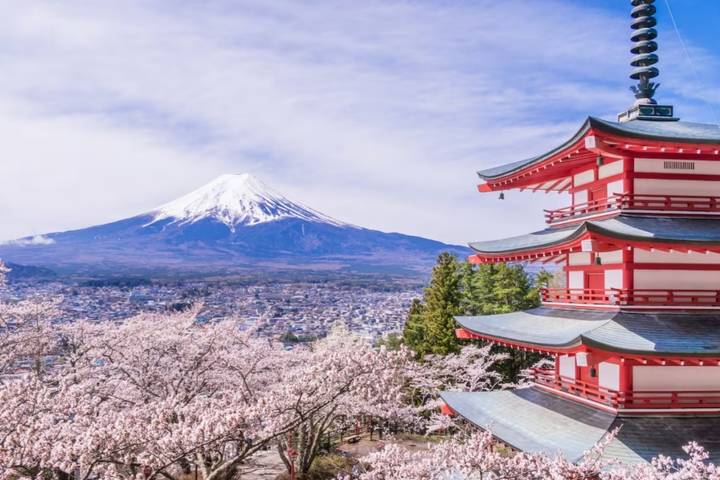 9 Day Best of Japan Cherry Blossom Tour 2027 by UME Travel Review - Fuji views, with weather in charge