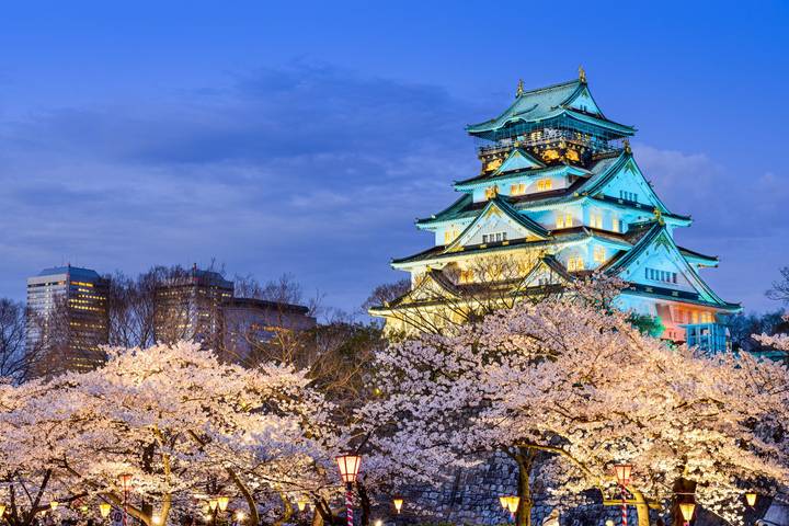 9 Day Independent Japan by Vio Travel - Tokyo to Osaka Tour Review - A mostly independent route through Japan