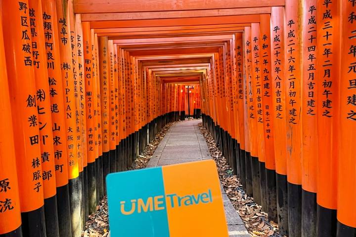 9 Days All Inclusive Japan Classics (Private German Guide and Driver) by UME Travel - A nine-day route from Tokyo to Osaka