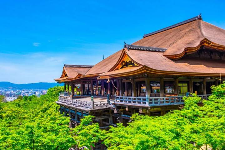 9 Days In Depth Cultural Japan Small Group Tour by UME Travel Review - Nara’s Buddha, then Osaka after dark