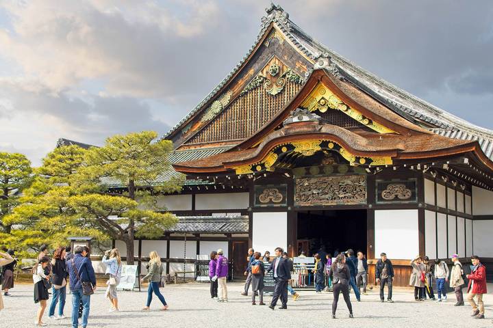 9 Days Japan Classic Tour (Private Guided) by Odynovo - Tokyo to Osaka Review - What this tour’s private-guided format really means