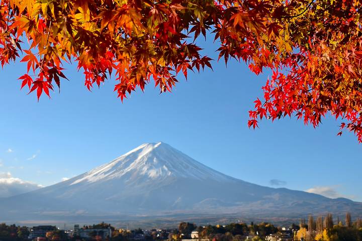 9 Days Japan Classic Tour (Private Guided) by Odynovo - Tokyo to Osaka Review - Day 4: Hakone to Kyoto by Shinkansen
