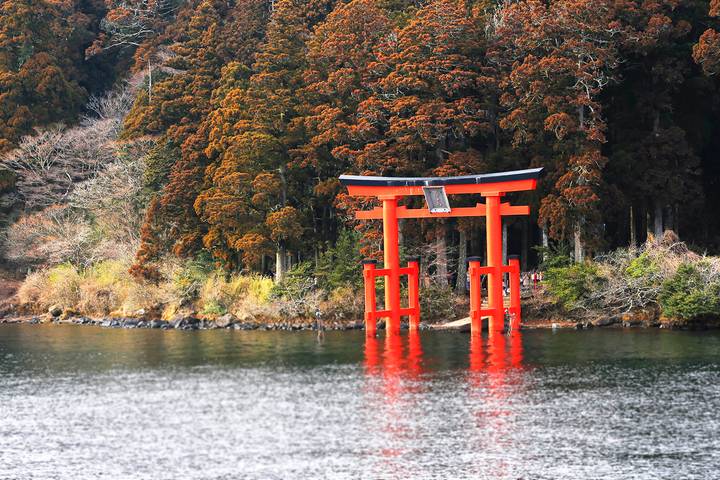 9 Days Japan Classic Tour (Private Guided) by Odynovo - Tokyo to Osaka Review - Day 5: Nijo Castle, Fushimi Inari, and Gion