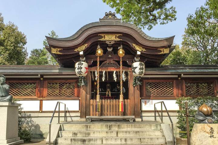 9 Days Japan Classic Tour (Private Guided) by Odynovo - Tokyo to Osaka Review - Days 1 and 2: Tokyo’s shrine paths and old-town streets