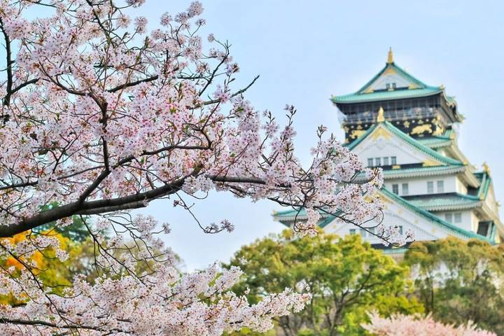 9 Days Japan Golden Tour Package WITH OISHI PARK by Delightful Travel Review - From Narita to Osaka, with the big sights in between