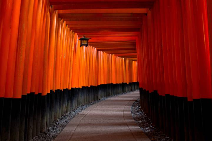 9 Days Japan Golden Tour Package WITH OISHI PARK by Delightful Travel Review - Day four: Nagoya Castle and Kyoto’s temple lanes