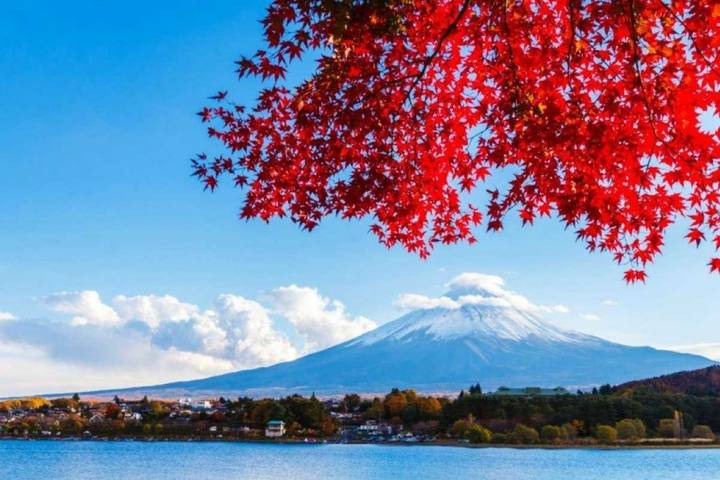 9 Days Japan Golden Tour Package WITH OISHI PARK by Delightful Travel Review - Day five: Fushimi Inari, Nara deer, and Osaka shopping