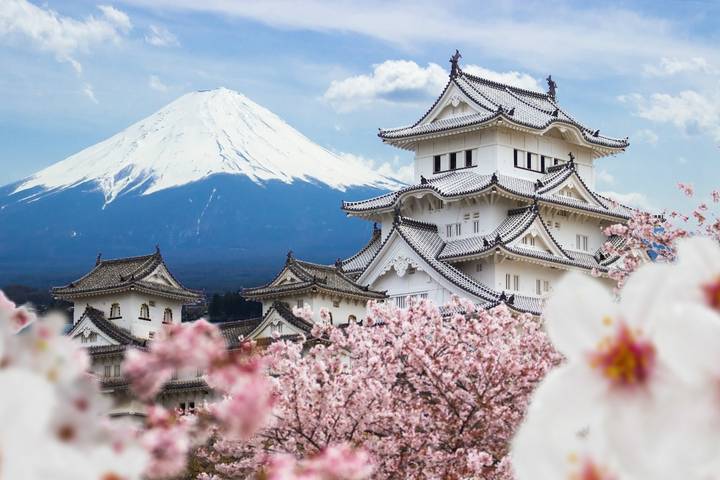 9D Splendid Japan Deluxe-Private 4 Star Hotels by Stunning Tours Review - At a glance: what you are booking
