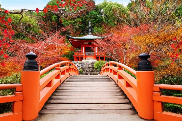 9D Splendid Japan Deluxe-Private 4 Star Hotels by Stunning Tours Review - Nara: deer, a giant Buddha and a busy half-day
