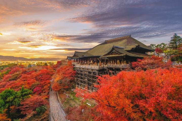 9D Splendid Japan Deluxe-Private 4 Star Hotels by Stunning Tours Review - Kyoto’s famous sights in a single day