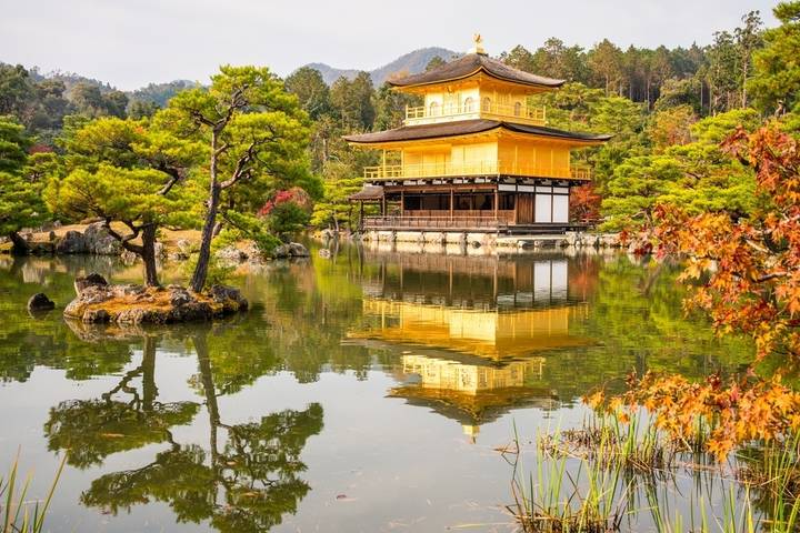A Classic 11 Day Japan Holiday - Tokyo: big sights, local food and room to roam