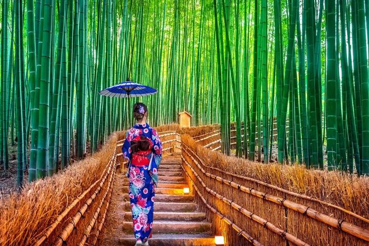 A Classic 11 Day Japan Holiday - Osaka: castle views and neon after dark
