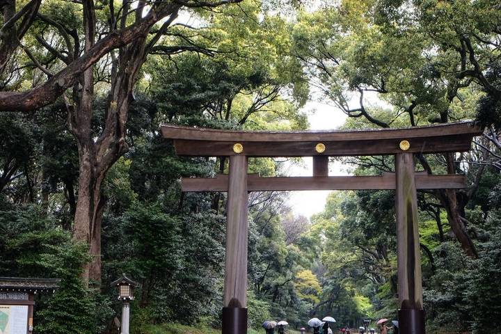 A Taste of Japan - Tokyo, Kyoto and Osaka by Explore! - 12-Day Tour Review - Should you book this Japan route?
