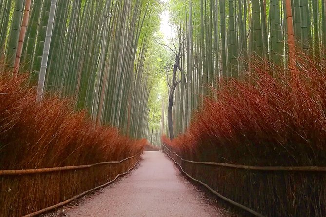 Afternoon Kyoto Bike Tour: Bamboo Forest, Monkeys & Hidden Spots - Tenryu-ji and Sogenchi Garden: a calmer cultural stop