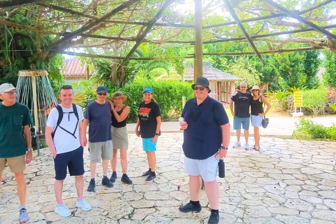 All-Inclusive Ishigaki Island Shore Excursion with English Guide - Why this works well from a cruise ship