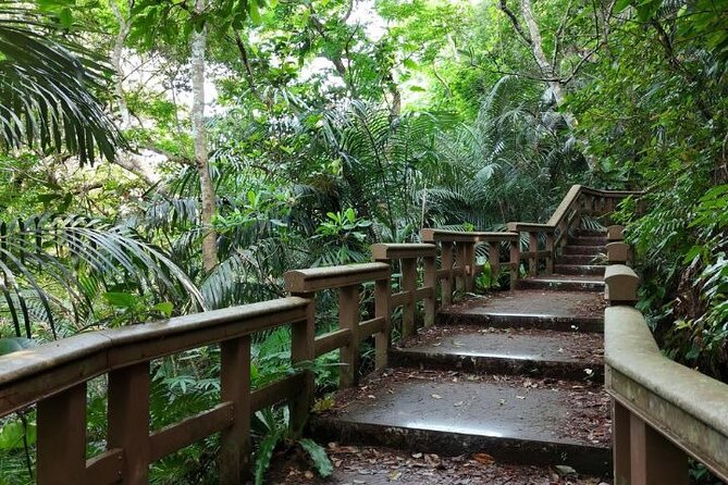 All-Inclusive Ishigaki Island Shore Excursion with English Guide - Banna Park: subtropical greenery above the island