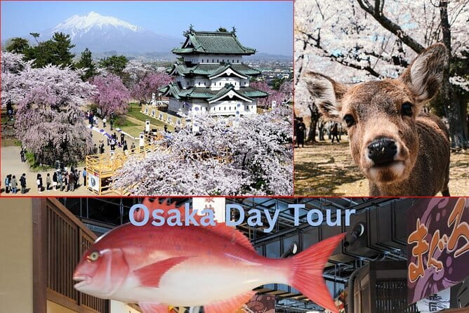Amanohashidate & Ine Boathouse Full-Day Tour from Kyoto or Osaka - Making the meeting point stress-free