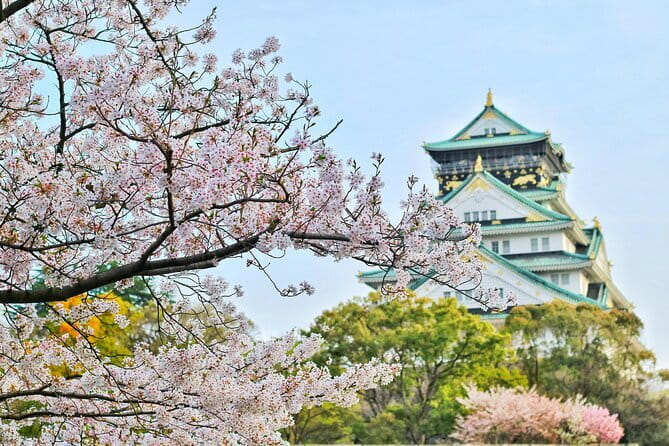 Amanohashidate & Ine Boathouse Full-Day Tour from Kyoto or Osaka - What to bring for Amanohashidate and Ine