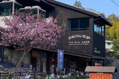 Amanohashidate & Ine Funaya Sightseeing Full Day Trip from Kyoto