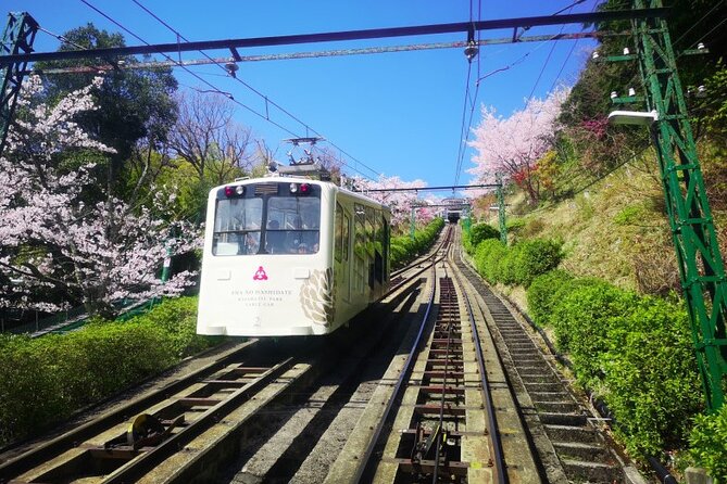 Amanohashidate & Miyama 1-Day Bus Tour: From Osaka/Kyoto w/ Lunch - Amanohashidate by boat, with seagulls overhead